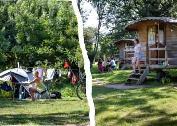 Aire naturelle de camping dans le Sud Vendée