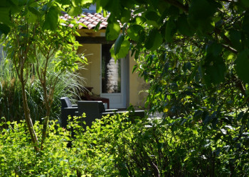 Le petit gîte au cœur de la nature