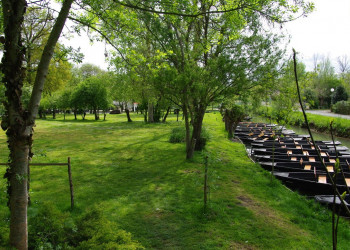 Embarcadère Cardinaud Prairie 1