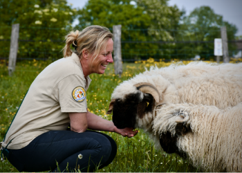 Rando'âne Marais Poitevin