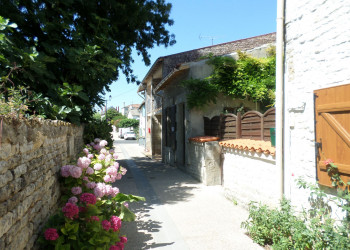La &quot;venelle&quot;, devant le gîte