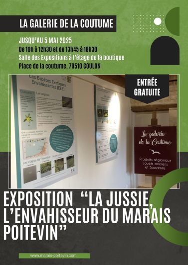 Affiche Exposition Artiste Moderne Minimal Photo Noir blanc Coloré