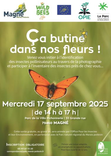 Ca butine dans nos fleurs