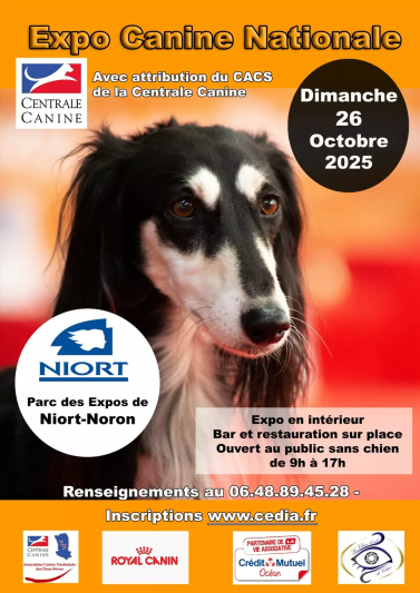 Chien
