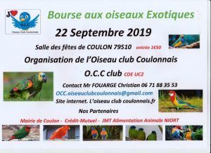 Coulon 2019 bourses aux oiseaux