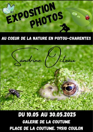 Expo photo