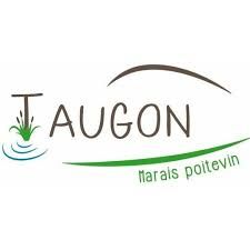 Taugon