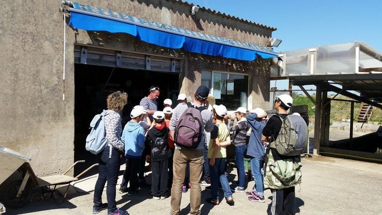Visite ostreicole