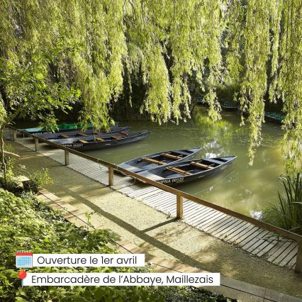 Découverte du marais poitevin en barque