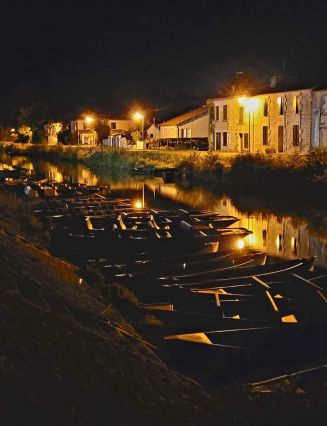 Le marais la nuit