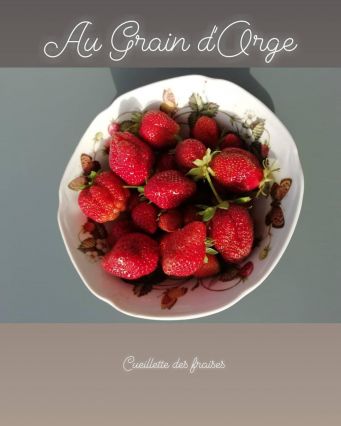10-les fraises.jpg