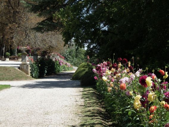 Vue des jardins et collections de Dahlias