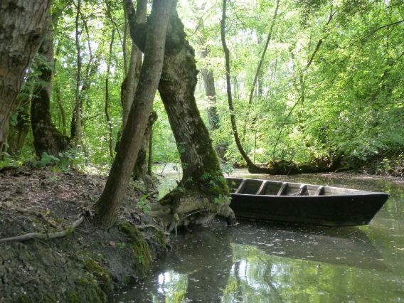 Marais mouillé de sainte christine