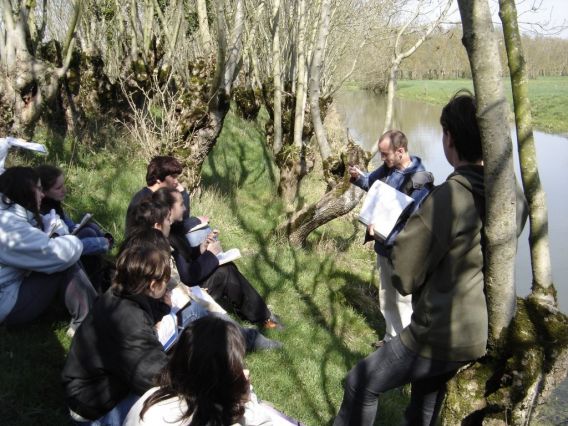 Une sortie nature dans le marais avec notre animateur