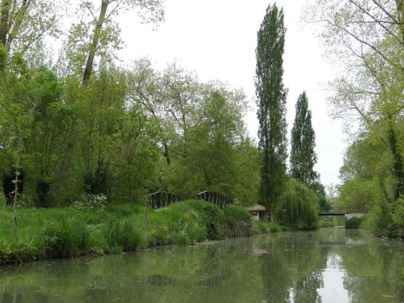 Reflets du marais de ste christine