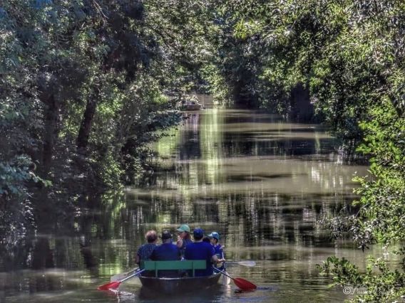 Découverte du marais poitevin en barque