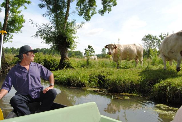 Balade dans le MaraisMouillé