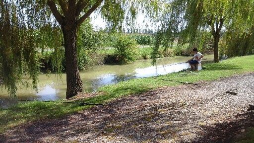 Partie de pêche au bord du canal