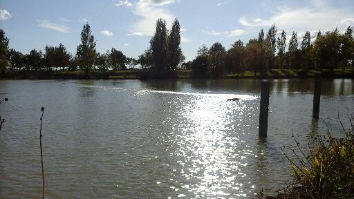 Etang pour la pêche