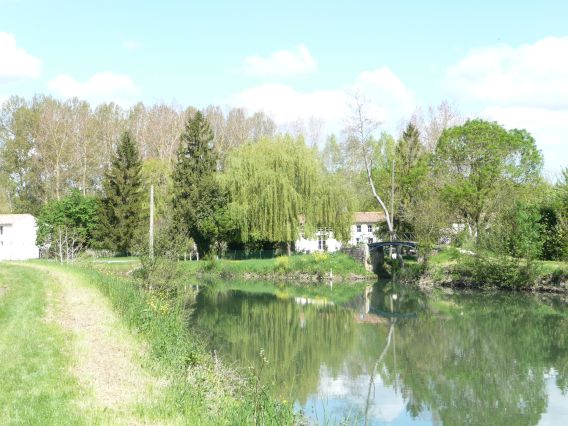 Pour comprendre et situer