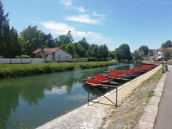 Balade en barque dans le marais poitevin