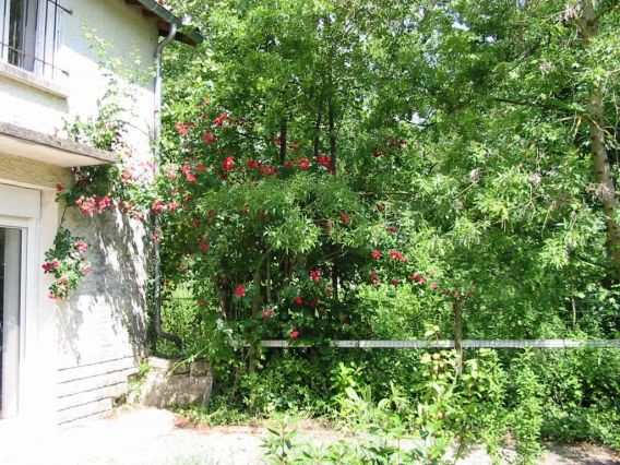 Gîte vu du jardin