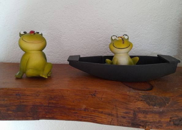 Grenouilles du marais