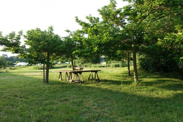 Jardin gîte