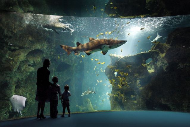 Aquarium la Rochelle