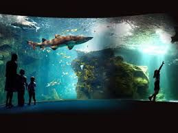 Aquarium la Rochelle 2