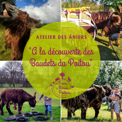 Atelier des âniers - La Ferme du Marais Poitevin