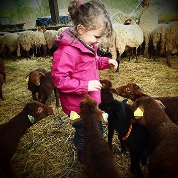 Atelier des Petits Fermiers