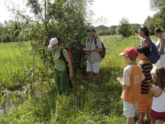 Rando découverte du marais avec nos guides nature