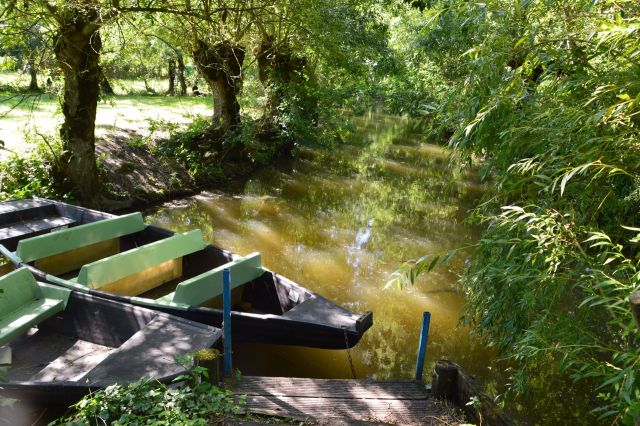 Barque aux jardin.JPG