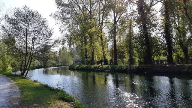 Bord de sevre au printemps 2021.jpg