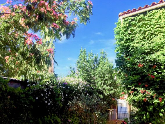 Notre jardin