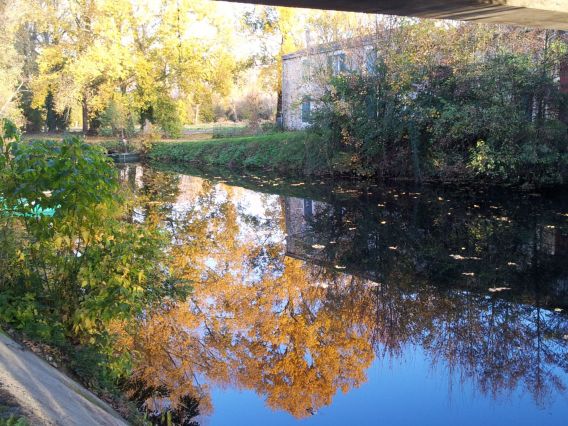 Coul.automne