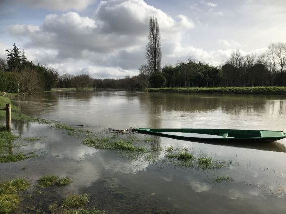 Crue février 2021