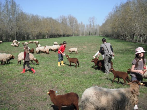 Découverte de la Ferme du Marais Poitevin