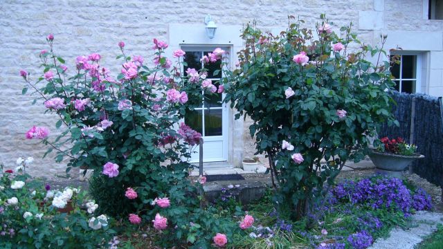 1p10006021.jpg