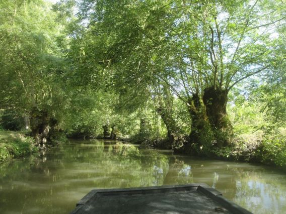Balade en plate, barque du marais poitevin