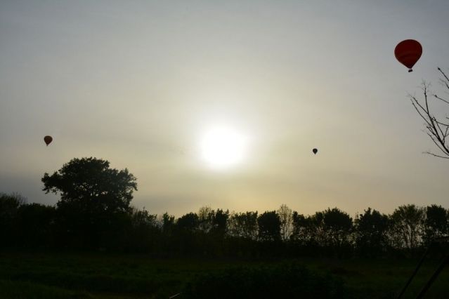 Vue sur le coucher de soleil et la nature