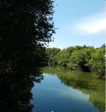 L'Autize, rivière traversant notre village poitevin
