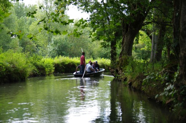 Embarcadère Cardinaud Marais Poitevin Collective
