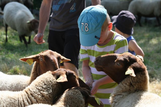 Enfant et animaux-fermedumaraispoitevin(1).JPG