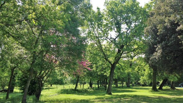 Parc de la maison d'hôtes
