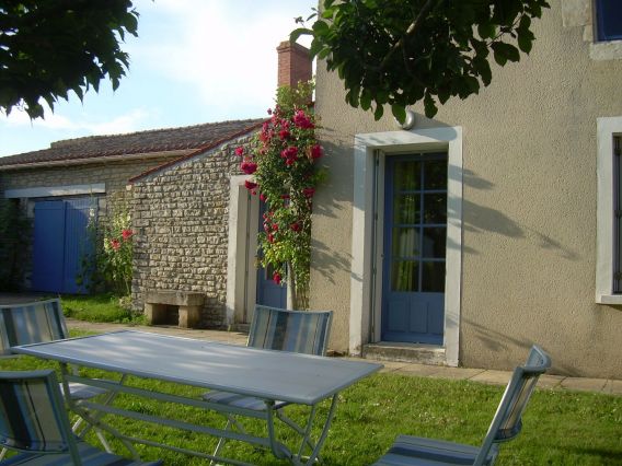 Jardin. Salon de jardin sous le murier sauvage, parasol naturel