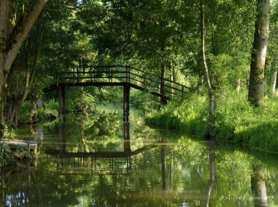 Départ à la découverte du Marais du Vanneau