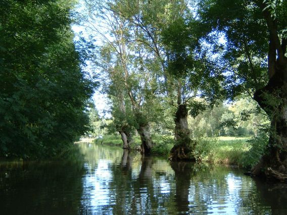 Image025.jpg