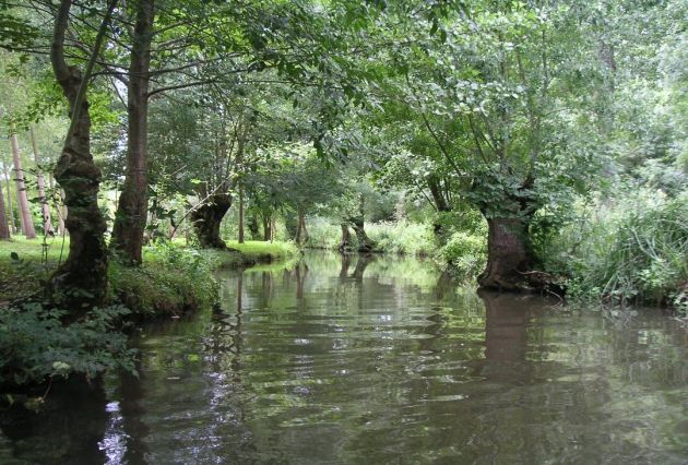 Image027.jpg